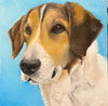 Pet Painting Commission
